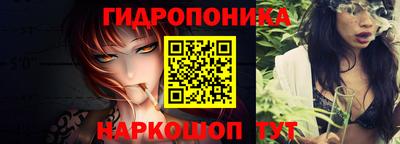 стаф Краснодар