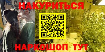 стаф Краснодар