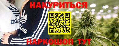 стаф Краснодар