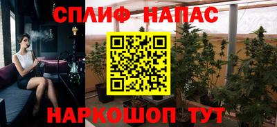 spice Краснознаменск