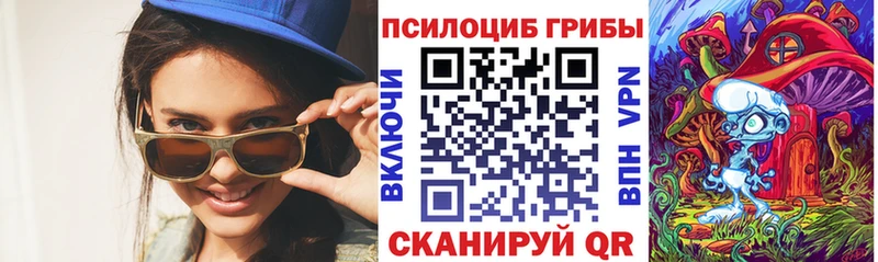 как найти закладки  Прохладный  Галлюциногенные грибы MAGIC MUSHROOMS 