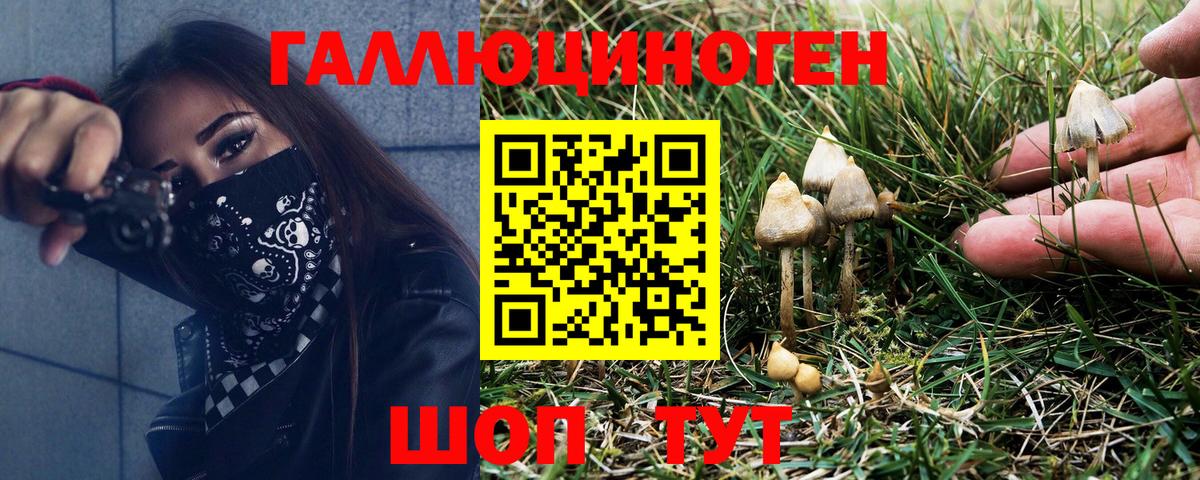 Галлюциногенные грибы мицелий  Прохладный  Галлюциногенные грибы мицелий 