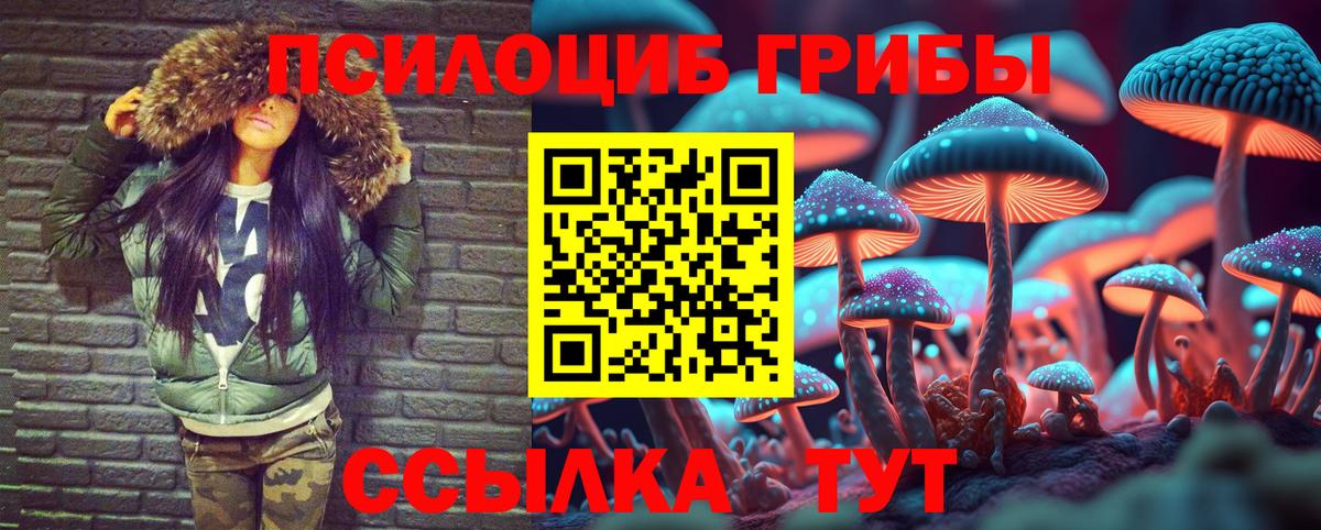 Псилоцибиновые грибы ЛСД  Вход с VPN  Псилоцибиновые грибы Cubensis  Прохладный 